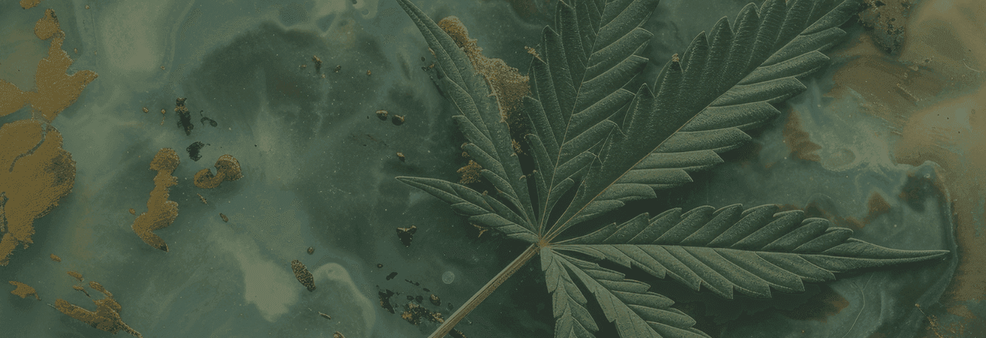 grünes Cannabis Blatt 